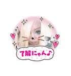 めろフレームスタンプ¹¹弾✩•*¨（個別スタンプ：28）