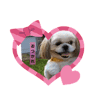 癒し♪♪（個別スタンプ：1）