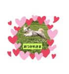 癒し♪♪（個別スタンプ：6）