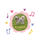 癒し♪♪（個別スタンプ：7）