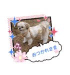 癒し♪♪（個別スタンプ：9）