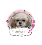癒し♪♪（個別スタンプ：12）