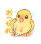 コザクラインコのクーちゃん（個別スタンプ：16）