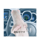 イタチのこんぶ①（個別スタンプ：7）