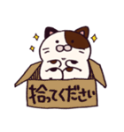 ぶぶ猫（個別スタンプ：17）