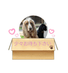モフ5（個別スタンプ：2）