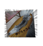 モフ5（個別スタンプ：3）