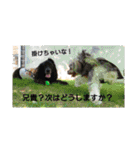 モフ5（個別スタンプ：4）