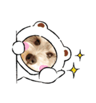モフ5（個別スタンプ：13）