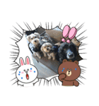 モフ5（個別スタンプ：31）