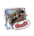 モフ5（個別スタンプ：39）