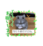 床の間ハムスターぴの子2〜激怒編〜（個別スタンプ：3）