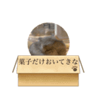 床の間ハムスターぴの子2〜激怒編〜（個別スタンプ：8）