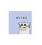 とっても可愛い猫ちゃんスタンプ（個別スタンプ：13）