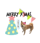 家庭的なだー（個別スタンプ：1）