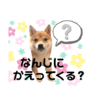 家庭的なだー（個別スタンプ：3）