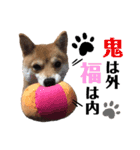 家庭的なだー（個別スタンプ：4）