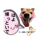 家庭的なだー（個別スタンプ：6）