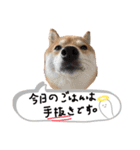 家庭的なだー（個別スタンプ：7）