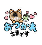 保護猫 ＆ COCO ❹（個別スタンプ：3）