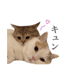 にぼしらすたんぷタメ口ver（個別スタンプ：9）