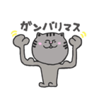 つかいやすいねこスタンプ（個別スタンプ：16）