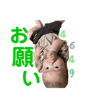 ボクはアオ3（個別スタンプ：1）