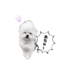 ☆むぎちょこみるく☆ペキビション（個別スタンプ：40）