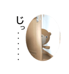 口下手なクマ（個別スタンプ：2）