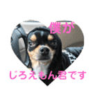 じろの日常7（個別スタンプ：3）