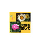 hana hana photo（個別スタンプ：23）
