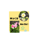 hana hana photo（個別スタンプ：24）
