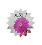 夏スタンプ＊（個別スタンプ：5）