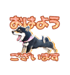 黒柴犬の♡敬語♡スタンプ01 柴犬 敬語（個別スタンプ：1）