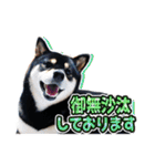 黒柴犬の♡敬語♡スタンプ01 柴犬 敬語（個別スタンプ：7）