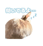 きなんぷ・つー（個別スタンプ：2）