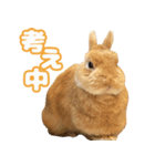 きなんぷ・つー（個別スタンプ：5）