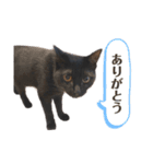 maruko のひとこと（part3）（個別スタンプ：2）
