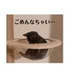 maruko のひとこと（part3）（個別スタンプ：8）