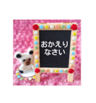 crystal♢﻿twin♢﻿bears 【丁寧語編】（個別スタンプ：1）