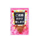 crystal♢﻿twin♢﻿bears 【丁寧語編】（個別スタンプ：12）