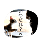 komuginanndesu（個別スタンプ：8）