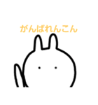 覗き見ウサギ（個別スタンプ：13）