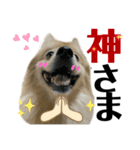 仲間で一緒に②！ポメと黒猫の出デカ文字（個別スタンプ：20）