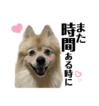 仲間で一緒に②！ポメと黒猫の出デカ文字（個別スタンプ：39）