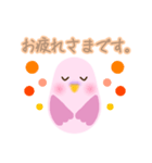 寄り添うインコ（個別スタンプ：5）