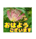 丁寧な「朝のあいさつ」に 山野草を添えて（個別スタンプ：19）