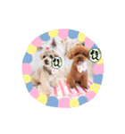 心はひとつ(๑˃̵ᴗ˂̵)（個別スタンプ：1）
