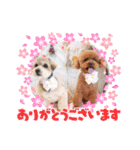 心はひとつ(๑˃̵ᴗ˂̵)（個別スタンプ：3）