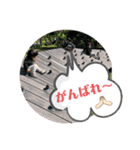 心はひとつ(๑˃̵ᴗ˂̵)（個別スタンプ：12）